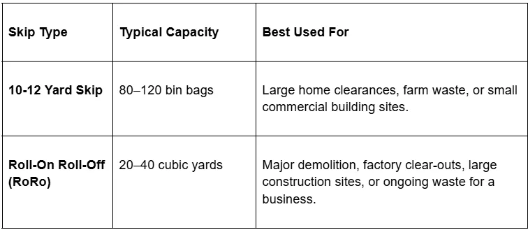 A table covering large and RoRo skip capacities as part of different skip types explained simply for major projects.