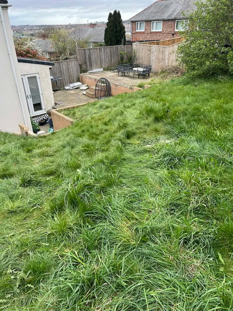 Skip and Waste Limited